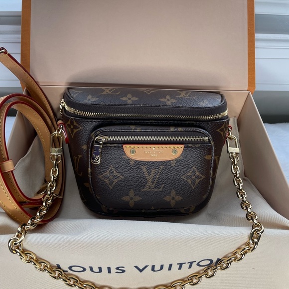 Louis Vuitton Handbags - ♥️Brand New AUTHENTIC  Louis Vuitton Mini Bumbag